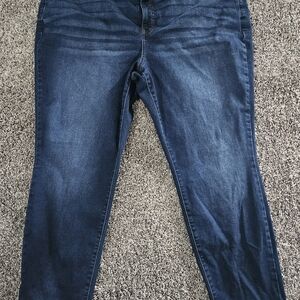 Terra & Sky Dark Blue Skinny Jeans